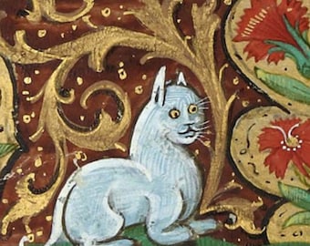 May include: A white cat with blue eyes sits in a garden setting. The cat is surrounded by gold and red foliage.