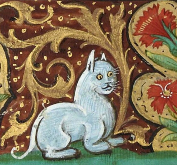 Fancy Cat Medieval Print, art gift, home decor, bestiary, marginalia, cottagecore, forestcore, witch coven familiar, weird goth quirky