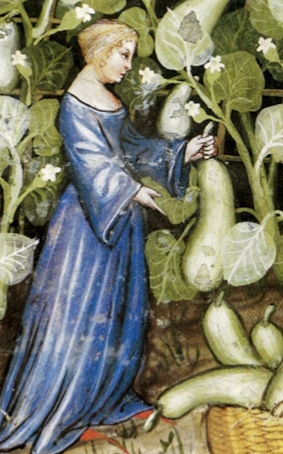 Cerruti Tacuinum Sanitatis « Facsimile edition