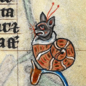 CATstropod I Medieval Cat Print, snail gift, home decor, bestiary, marginalia, meme viral art, cottagecore, forestcore, weird goth quirky