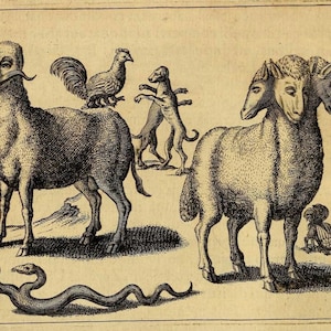 Various Monsters Renaissance Print, fantasy art gift, bestiary, medieval marginalia, home wall decor, myth, goth, cryptid, oddity curiosity