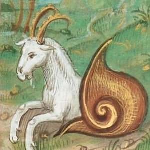 Snail Goat I Medieval Print, funny art gift, animal cuteness, home decor, bestiary, marginalia, cottagecore, forestcore, weird goth quirky