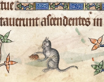 May include: A medieval manuscript illustration depicting a gray cat catching a brown mouse. The cat is sitting on a light brown background with a blue and green vine in the background. The text "die tue" and "mirtauuerunt alcedentes in" are visible above the cat.