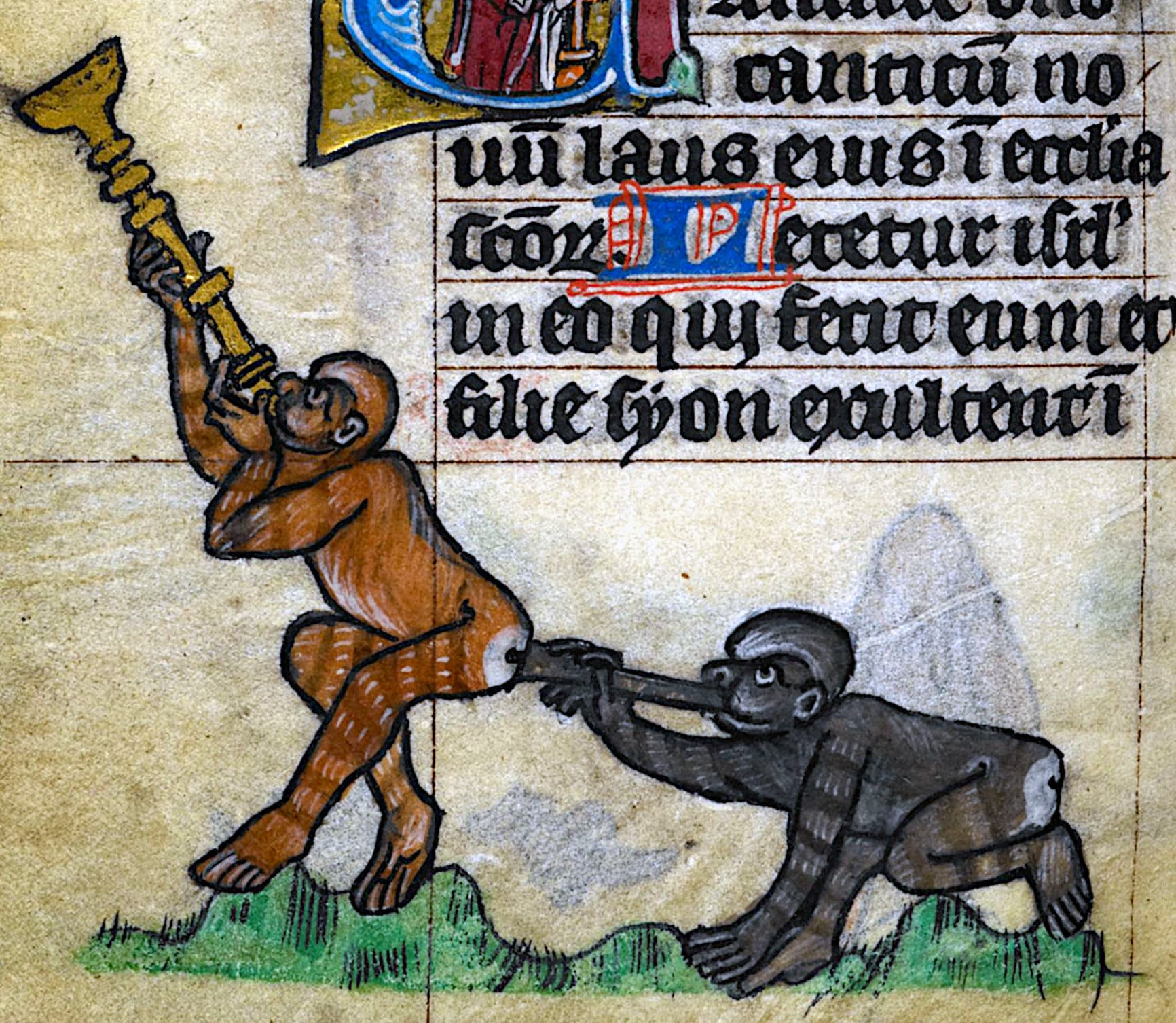 Butt Trumpet IV Medieval Print, Home Decor, Weird Monkey