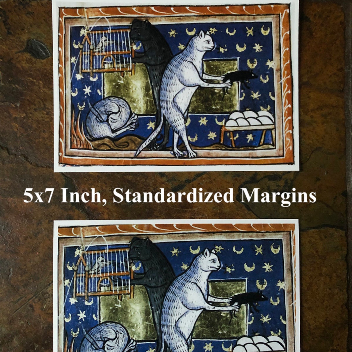 Bedtime Cats Medieval Print, Cat Art Gift, Home Decor, Bestiary, Marginalia, Cottagecore, Weird Cute Kitten, Witchy Coven Familiar, Goth - Etsy
