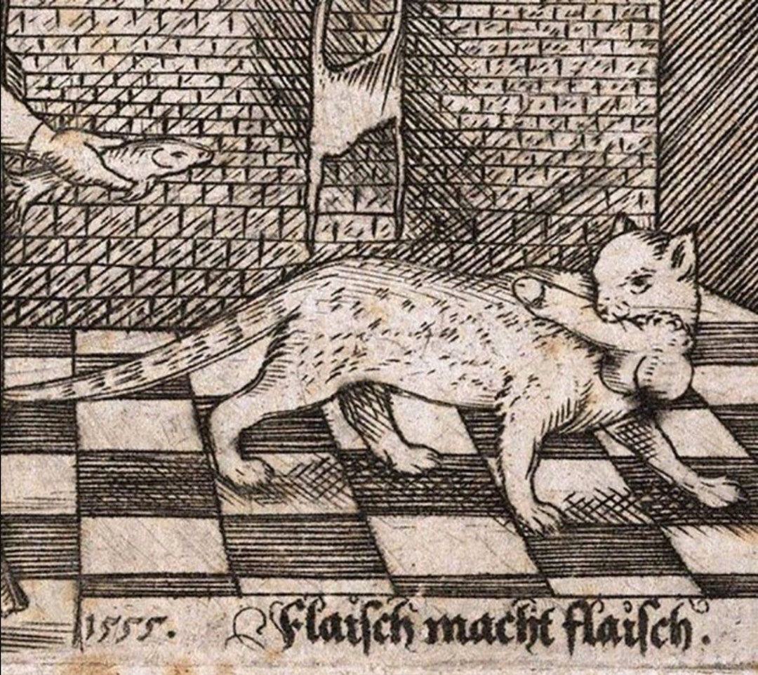 flesh-makes-flesh-medieval-cat-print-cat-gift-wall-art-framable