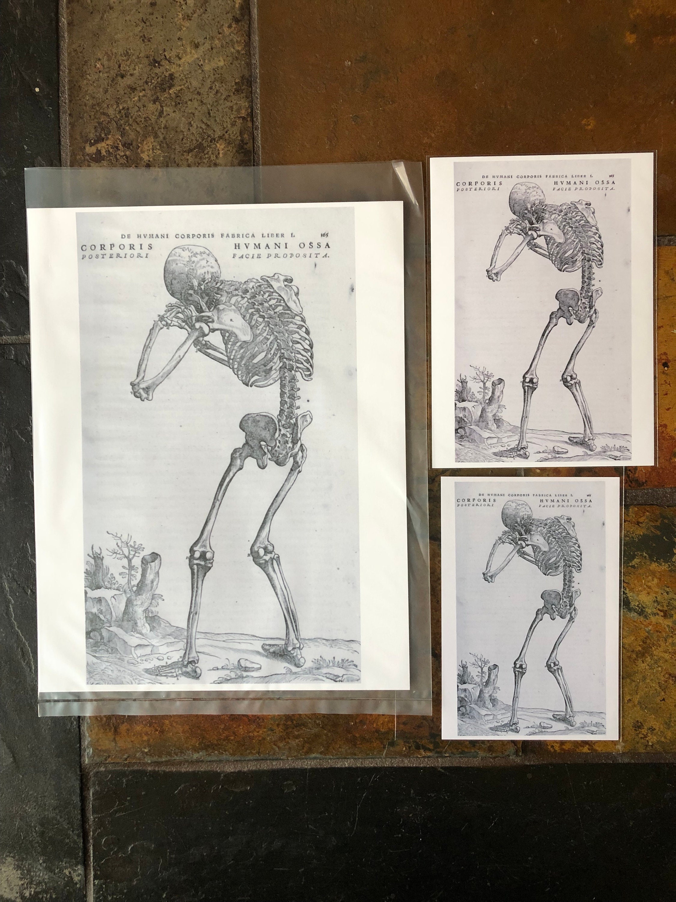Weeping Skeleton Renaissance Print, Wall Art, Framable Print, Authentic ...