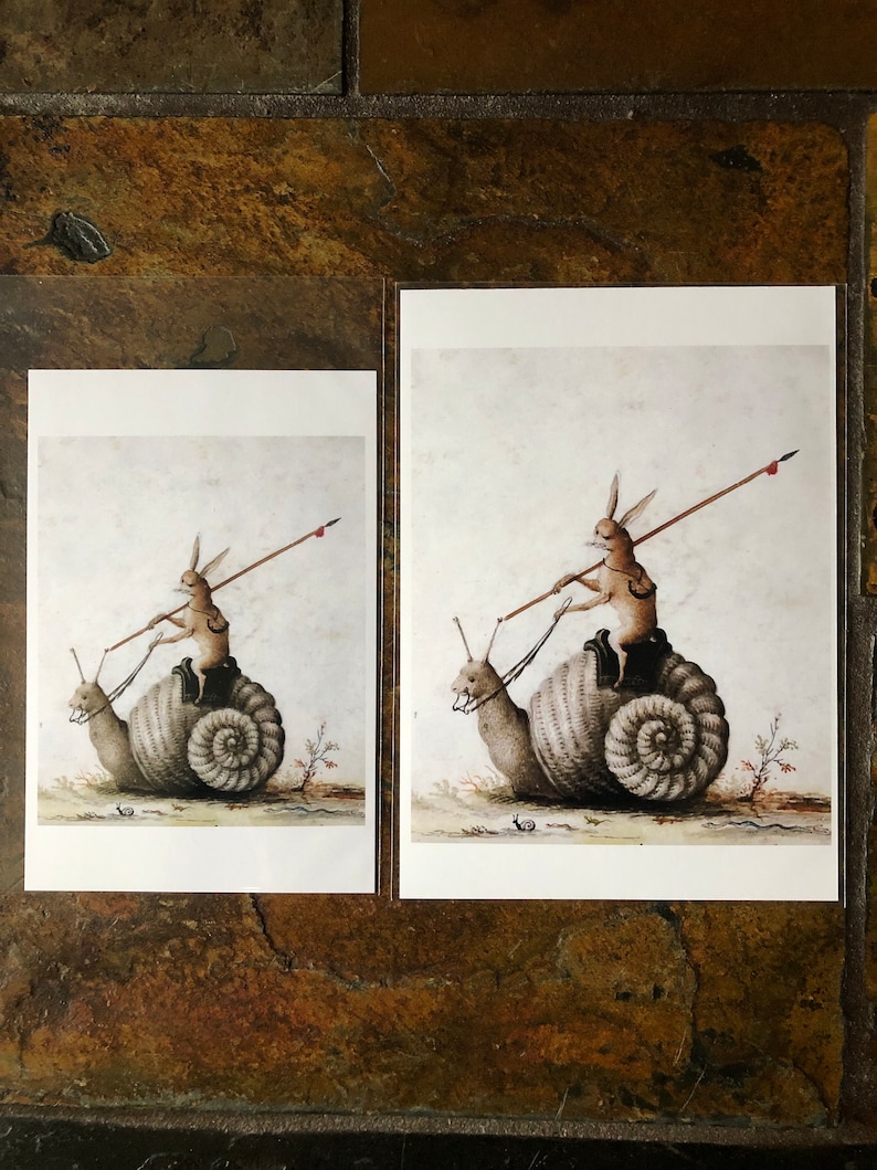 Snail Steed Renaissance Print, Gift for Student, Gift for Rabbit Lover ...