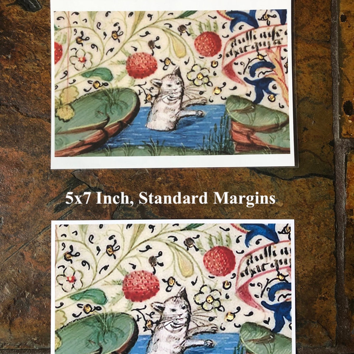 Bath Time Medieval Print, White Cat Art Gift, Medieval Marginalia, Bestiary, Home Decor, Cottagecore, Witchy Coven Familiar, Weird Goth - Etsy