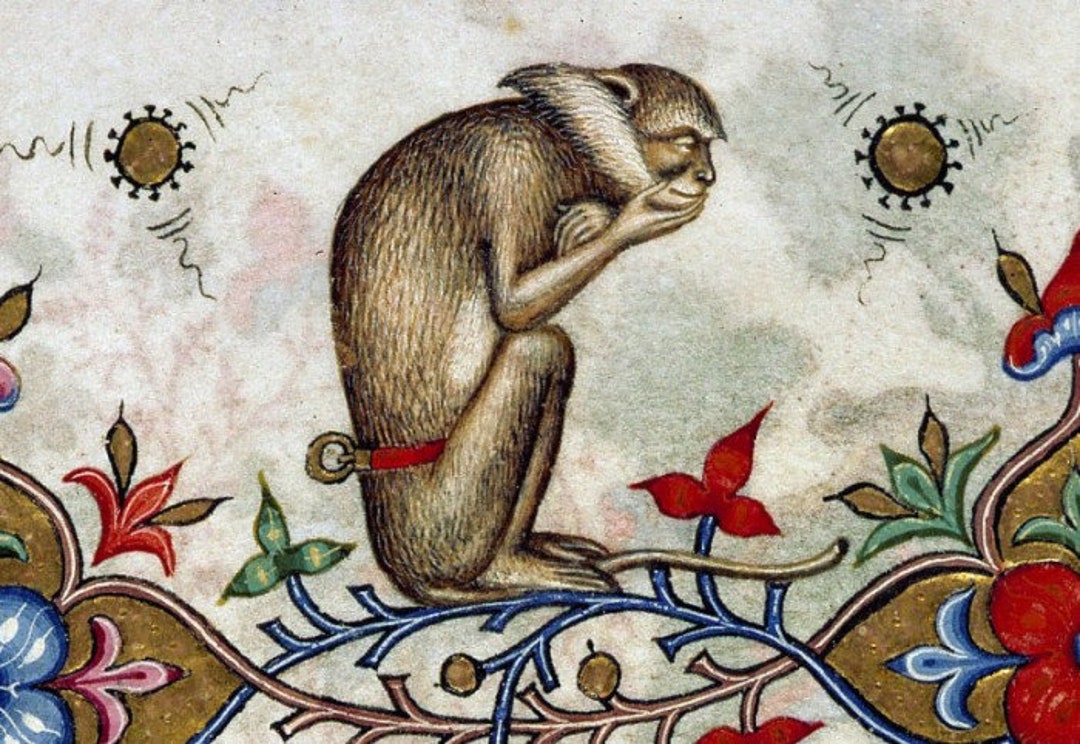 Contemplative Monkey Contemplative Monkey Medieval Print, Monkey Art, Monkey Lover, Bestiary ...