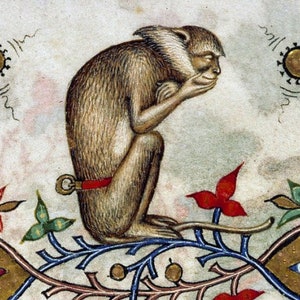 Contemplatieve aap middeleeuwse print, apenkunst, apenliefhebber, bestiarium, marginalia, woondecoratie, cottagecore, bos, dierlijke schattigheid