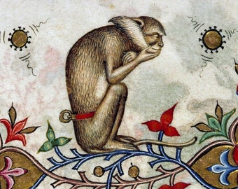 Contemplative Monkey Medieval Print, monkey art, monkey lover, bestiary, marginalia, home decor, cottagecore, forestcore, animal cuteness