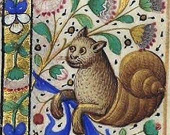 Puede incluir: Una ilustración detallada de un gato con una concha de caracol en la espalda, rodeado de flores y hojas. El gato es marrón y blanco, y la concha de caracol es dorada. El fondo es blanco con puntos negros.