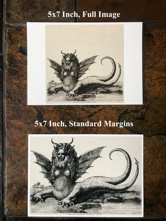 Happy Harpy Enlightenment Print, Home Decor, Fine Art Happy Harpy Enlightenment Print, Home Decor, Fine Art