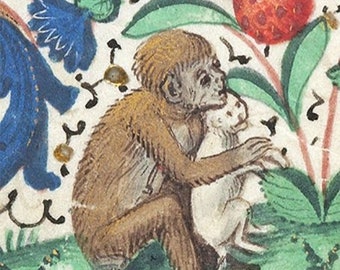Medieval Monkey & Cat III