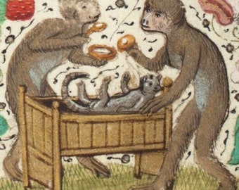 Medieval Monkey & Cat II