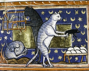 May include: A medieval illustration depicting three cats. A white cat holds a black cat in its paws. A black cat stands near a birdcage. The background is a blue sky with gold stars and crescent moons.
