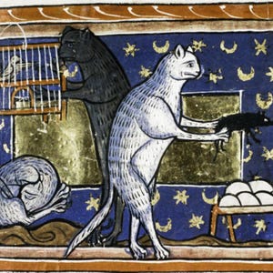 Clearance - GLOSSY ONLY Bedtime Cats Medieval Print, cat art gift, home decor, bestiary, marginalia, cottagecore, weird cute kitten, witchy