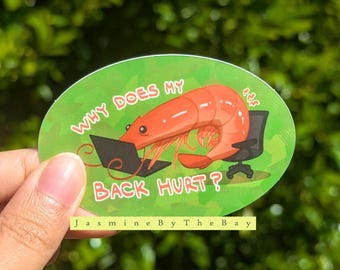 Puede incluir: Pegatina ovalada con un camarón de dibujos animados sentado en una silla de oficina, trabajando en un portátil. La pegatina tiene el texto "WHY DOES MY BACK HURT?" en blanco. El fondo es verde con efecto acuarela.