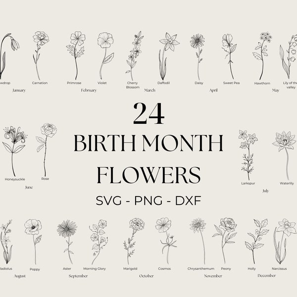 Birth Month Flowers Png, Flower Svg, Botanical Vector Graphics, Flower Outline, Commercial Use Clip art