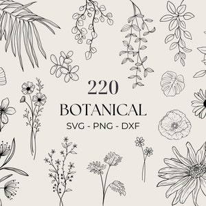 Botanical Svg Bundle, Line art Svg, Commercial Use Included