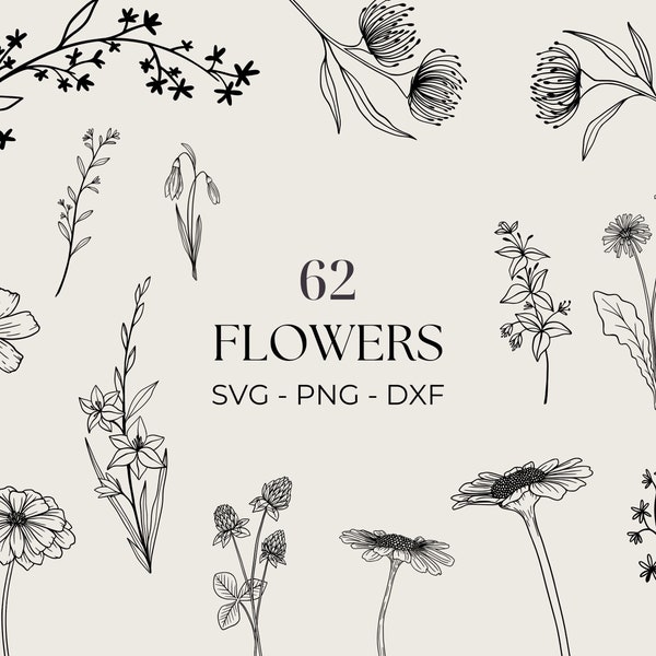 Flower Svg Bundle, Floral Outline, Botanical Svg, Utilisation commerciale incluse