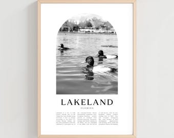 Lakeland reseaffisch, Lakeland-tryck, Lakeland-väggkonst, resetryck, Florida stadskonst, Lakeland-present, Florida-dekor | US289M