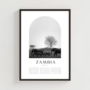 Poster di viaggio dello Zambia, stampa dello Zambia, arte murale dello Zambia, stampa di viaggio, arte della città africana, regalo dello Zambia, decorazioni africane / AF128M