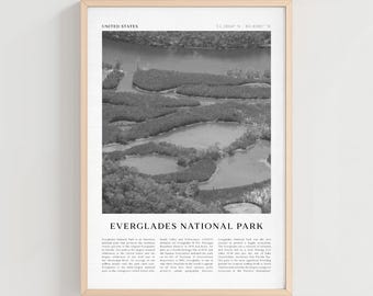 Everglades National Park reisposter, Everglades vintage print, Everglades muurkunst, Verenigde Staten retro stadskunst, Everglades cadeau | NA169