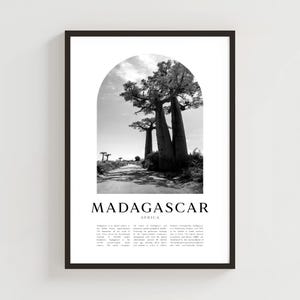 Madagascar Travel Poster, Madagascar Print, Madagascar Wall Art, Travel Print, Africa City Art, Madagascar Gift, Africa Decor | AF65M