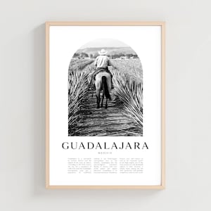 Guadalajara Travel Poster, Guadalajara Print, Guadalajara Wall Art, Travel Print, Mexico City Art, Guadalajara Gift, Mexico Decor | NA205M