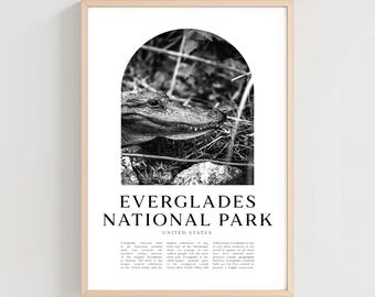 Everglades National Park reisposter, Everglades-print, Everglades-muurkunst, reisprint, United States City Art, Everglades-cadeau | NA169M