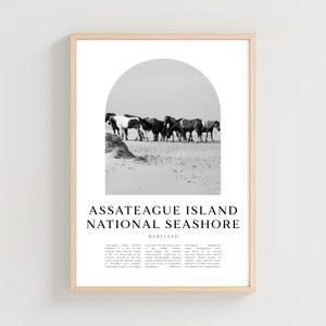 Assateague Island National Seashore Travel Poster, Assateague National Seashore Wall Art, Travel, Maryland City Art, Maryland Decor | NA357M