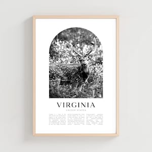 Virginia Travel Poster, Virginia Print, Virginia Wall Art, Travel Print, United States City Art, Virginia Gift, United States Decor | NA126M