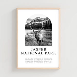 Jasper National Park Travel Poster, Jasper Print, Jasper Wall Art, Travel Print, Canada City Art, Jasper Gift, Canada Decor | NA263M