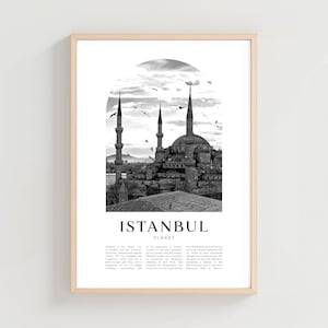 Istanbul Travel Poster, Istanbul Print, Istanbul Wall Art, Travel Print, Turkey City Art, Istanbul Gift, Turkey Decor | EU146M