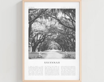 Savannah Travel Poster, Savannah Vintage Print, Savannah Wall Art, Georgia Retro City Art, Savannah Gift, Georgia Boho Decor | NA42