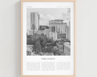 Orlando  Travel Poster, Orlando  Vintage Print, Orlando  Wall Art, Florida Retro City Art, Orlando  Gift, Florida Boho Decor | NA11