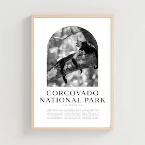 Corcovado National Park Travel Poster, Corcovado Print, Corcovado Wall Art, Osa Peninsula City Art, Corcovado Gift, Osa Decor | CE23M