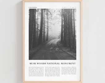 Muir Woods National Monument Travel Poster, Muir Woods Monument Vintage Print, Muir Woods Gift, California Boho Wall Decor | NA75