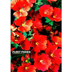 Fleet Foxes