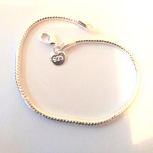 May include: A silver snake chain bracelet with a 925 sterling silver charm.