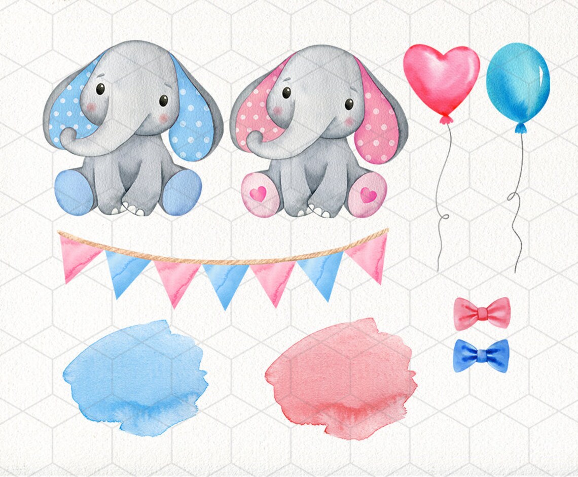 Elephant gender reveal png Pink or blue png Watercolor Etsy