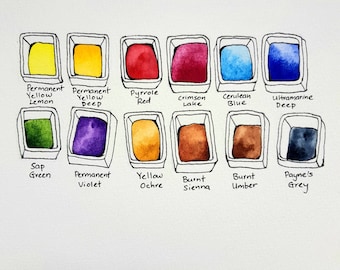 Japanese Artist Grade Watercolor Paint Set - Beginner Watercolor Set - 12 Basic Colors