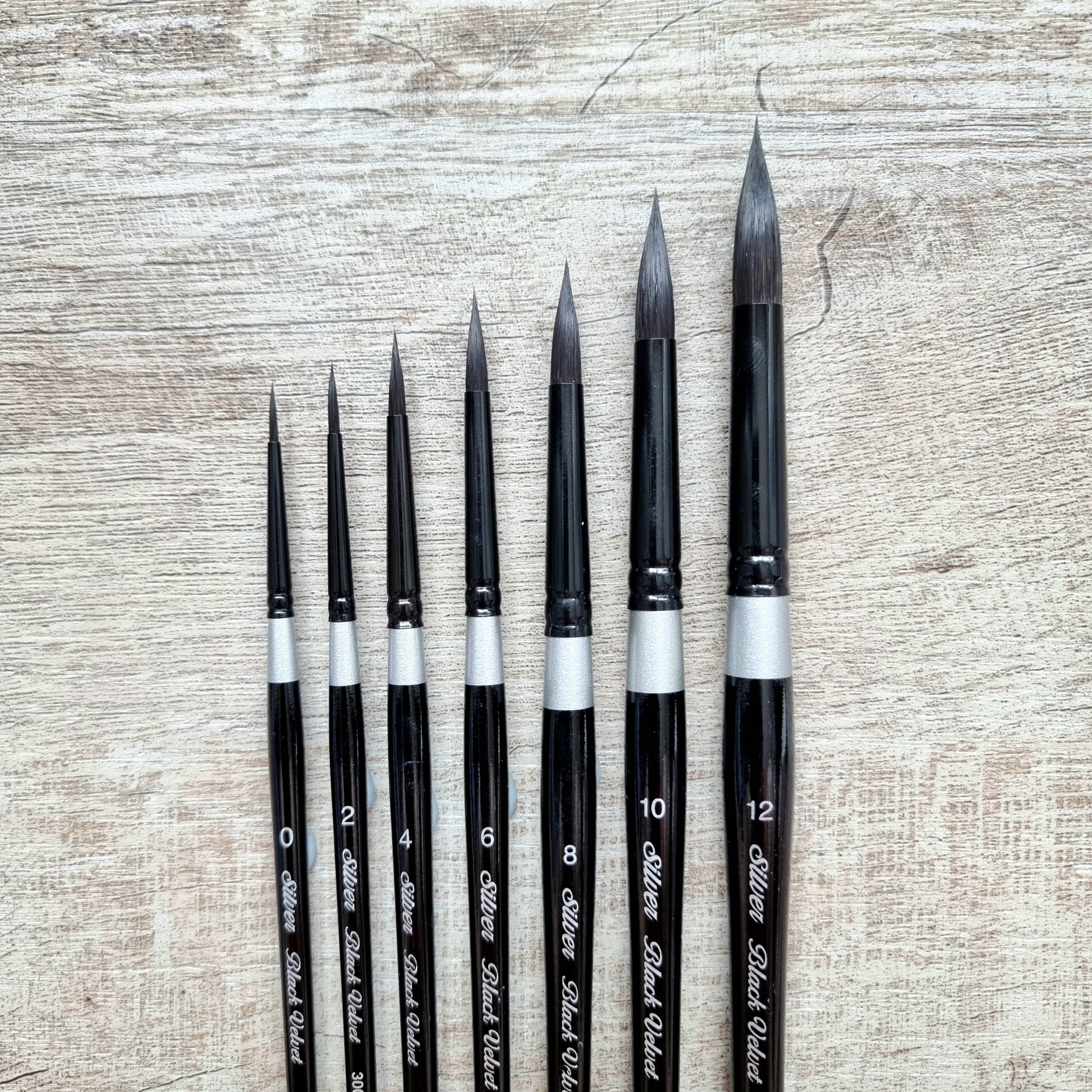 Silver Brush Black Velvet Brush Sets