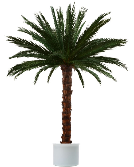 パルムリーフトランクM パルムリーフトランクM