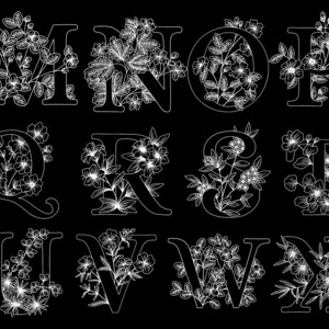 May include: White outline of the letters M, N, O, P, Q, R, S, T, U, V, W, and X, each letter is decorated with a floral design.