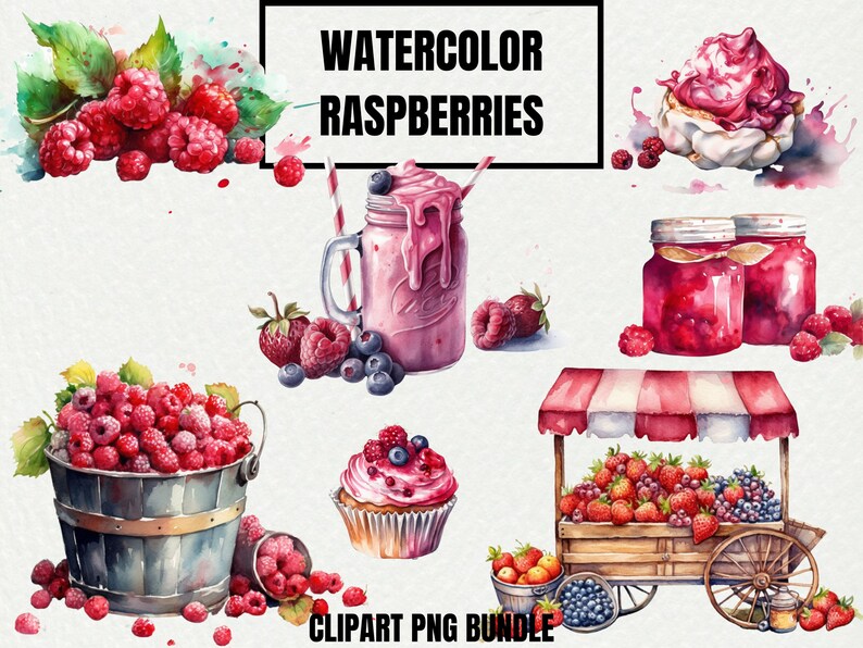 Watercolor Raspberry Clipart Bundle Raspberries Digital PNG - Etsy