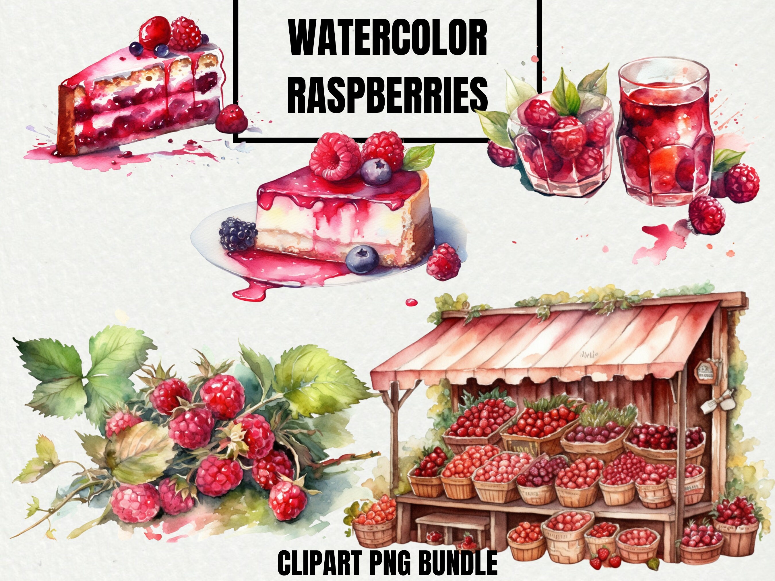 Watercolor Raspberry Clipart Bundle Raspberries Digital PNG Fruit ...