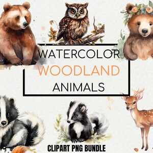 Watercolor Woodland Animals Clipart | Forest Nursery Decor (Instant PNG)